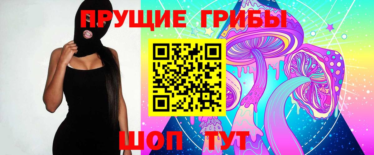 Псилоцибиновые грибы мицелий Армавир